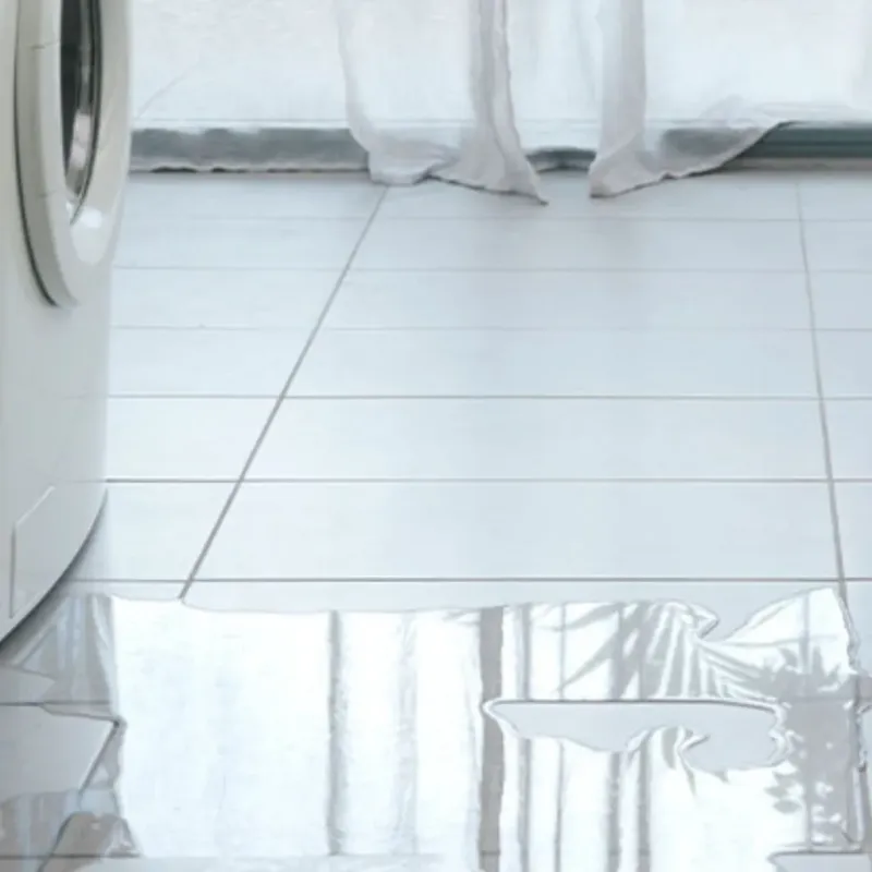 Appliance Leak Cleanup in Princeton, KY