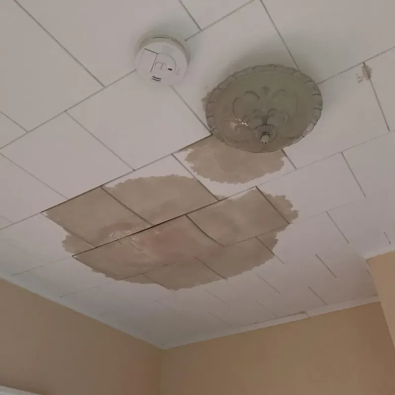 Ceiling Water Damage Repair in Princeton, KY