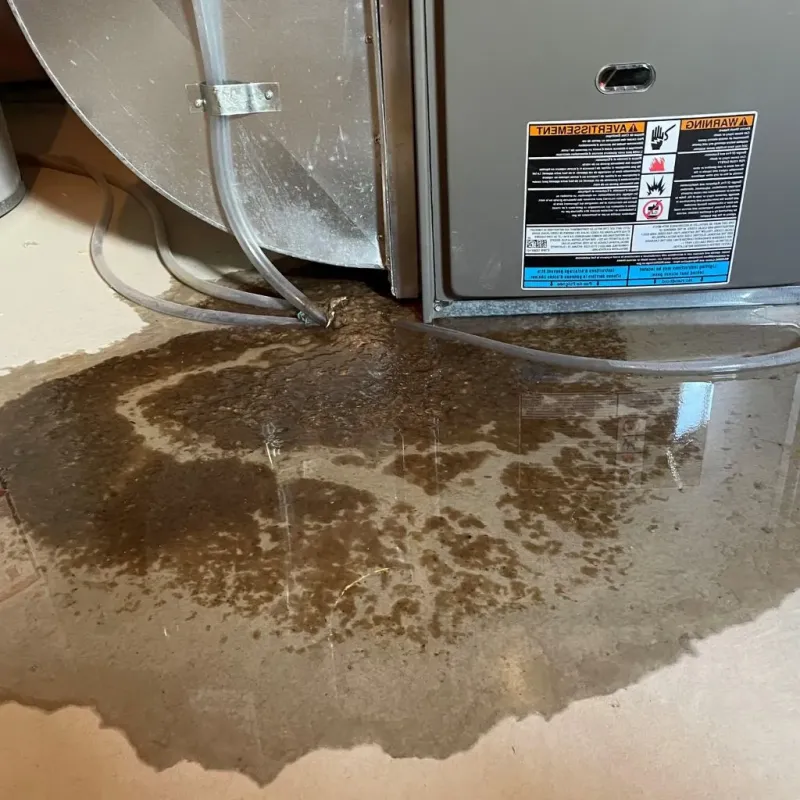 Pipe Burst and Leak Restoration in Princeton, KY