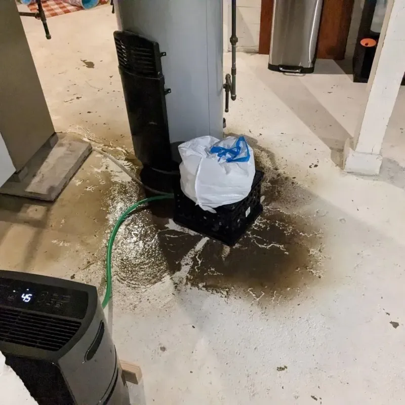 Sewage Backup Cleanup Service in Princeton, KY